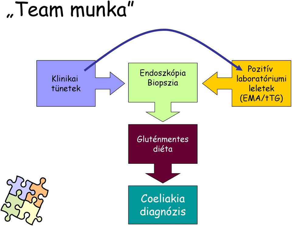 laboratóriumi leletek (EMA/tTG)