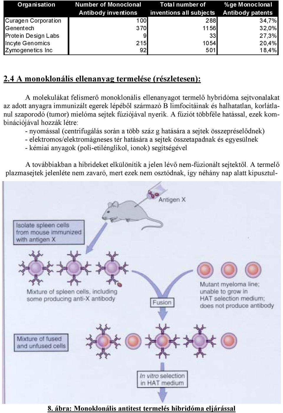 4 A monoklonális ellenanyag termelése (részletesen): A molekulákat felismerő monoklonális ellenanyagot termelő hybridóma sejtvonalakat az adott anyagra immunizált egerek lépéből származó B