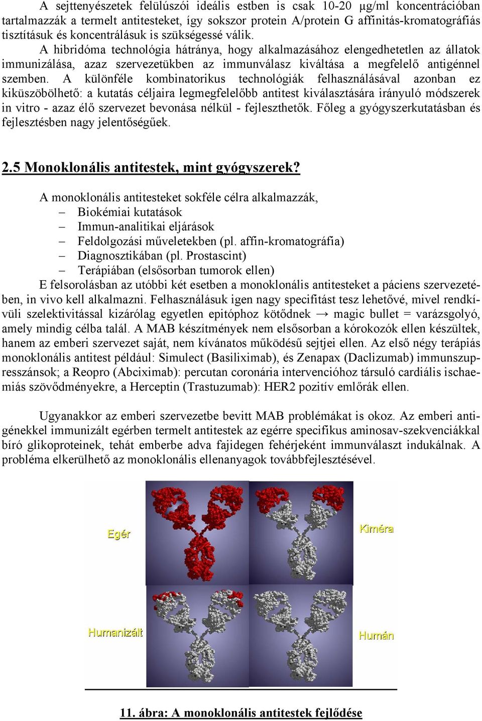 A hibridóma technológia hátránya, hogy alkalmazásához elengedhetetlen az állatok immunizálása, azaz szervezetükben az immunválasz kiváltása a megfelelő antigénnel szemben.