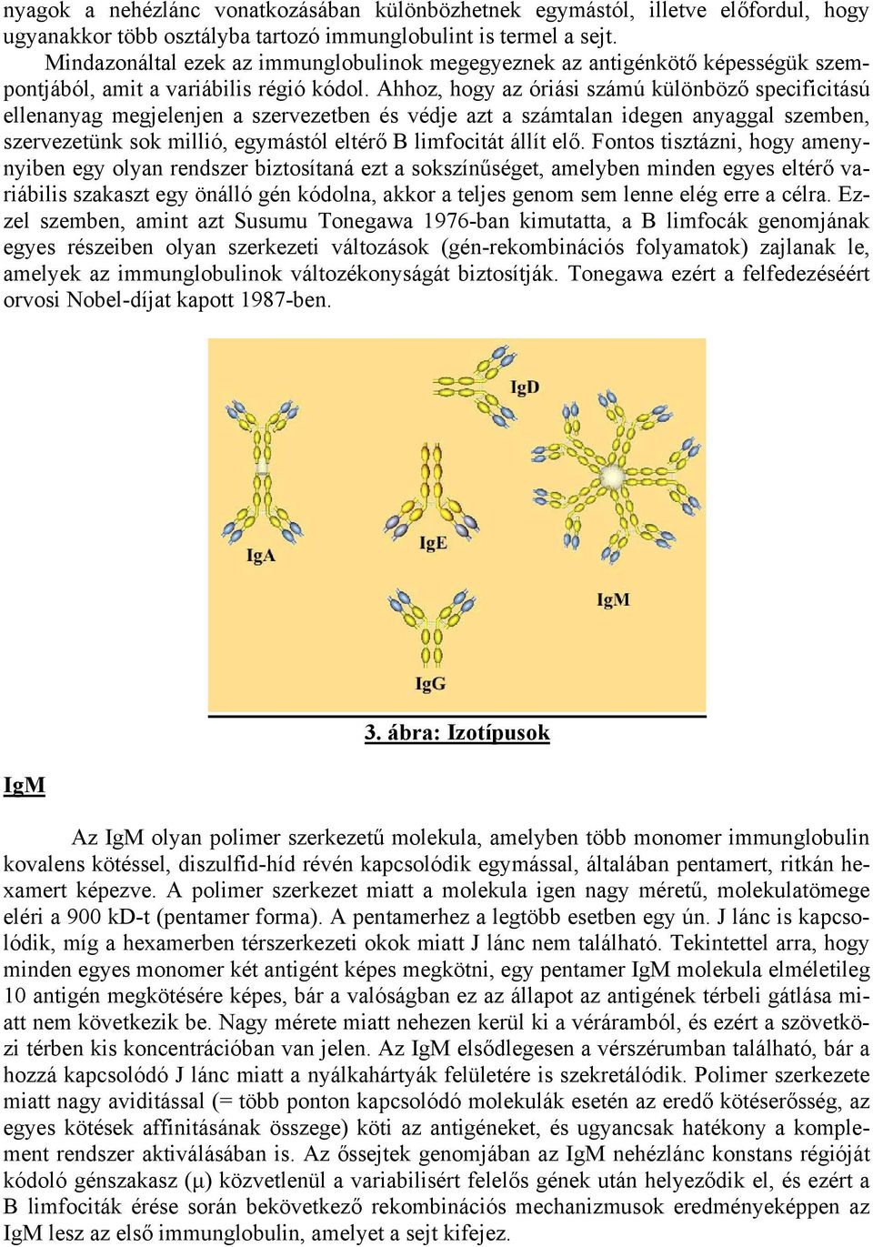 Ahhoz, hogy az óriási számú különböző specificitású ellenanyag megjelenjen a szervezetben és védje azt a számtalan idegen anyaggal szemben, szervezetünk sok millió, egymástól eltérő B limfocitát