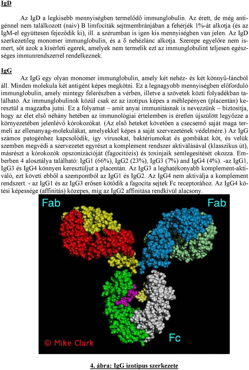 Az IgD szerkezetileg monomer immunglobulin, és a δ nehézlánc alkotja.