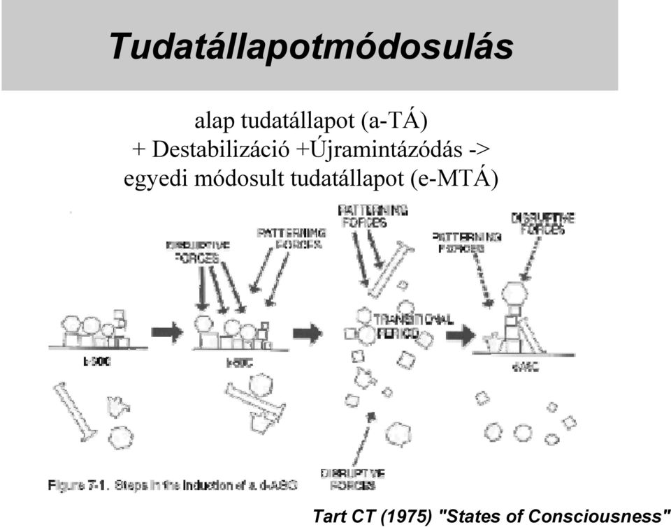 alap tudatállapot (a-tá) +