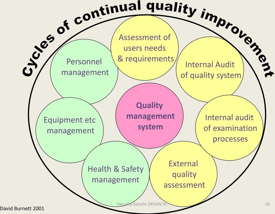 management system Internal audit of examination processes Health