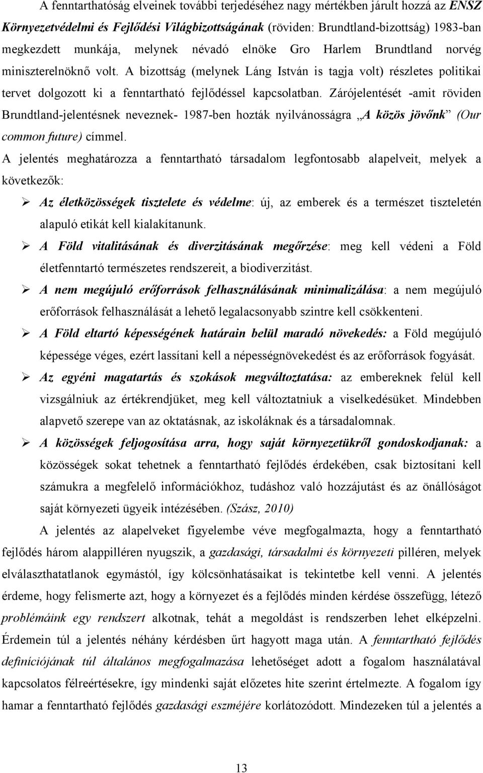 A bizottság (melynek Láng István is tagja volt) részletes politikai tervet dolgozott ki a fenntartható fejlődéssel kapcsolatban.