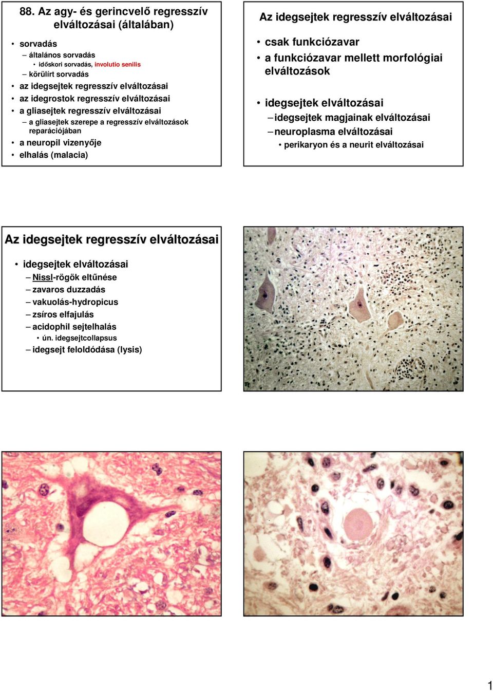 regresszív v csak funkciózavar a funkciózavar mellett morfológiai elvá idegsejtek ásai idegsejtek magjainak ásai neuroplasma ásai perikaryon és a neurit ásai Az