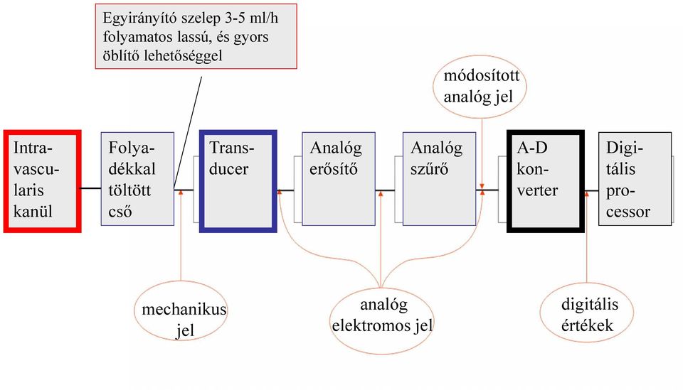 Folyadékkal töltött cső Transducer Analóg erősítő Analóg szűrő A-D