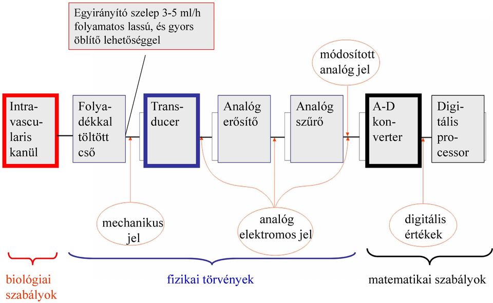 Analóg erősítő Analóg szűrő A-D konverter Digitális processor mechanikus jel