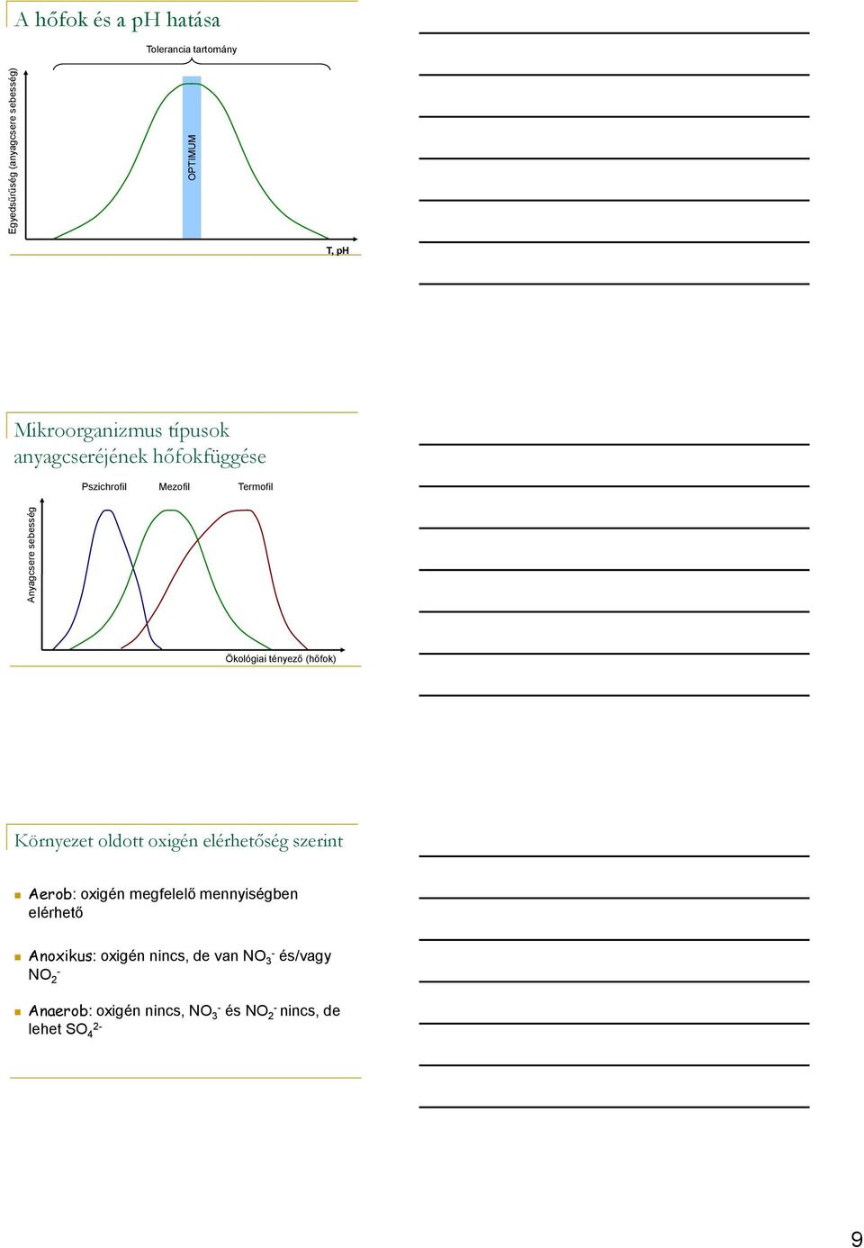 (hőfok) Környezet oldott oxigén elérhetőség szerint Aerob: oxigén megfelelő mennyiségben elérhető