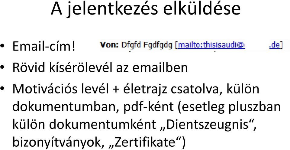 életrajz csatolva, külön dokumentumban, pdf-ként