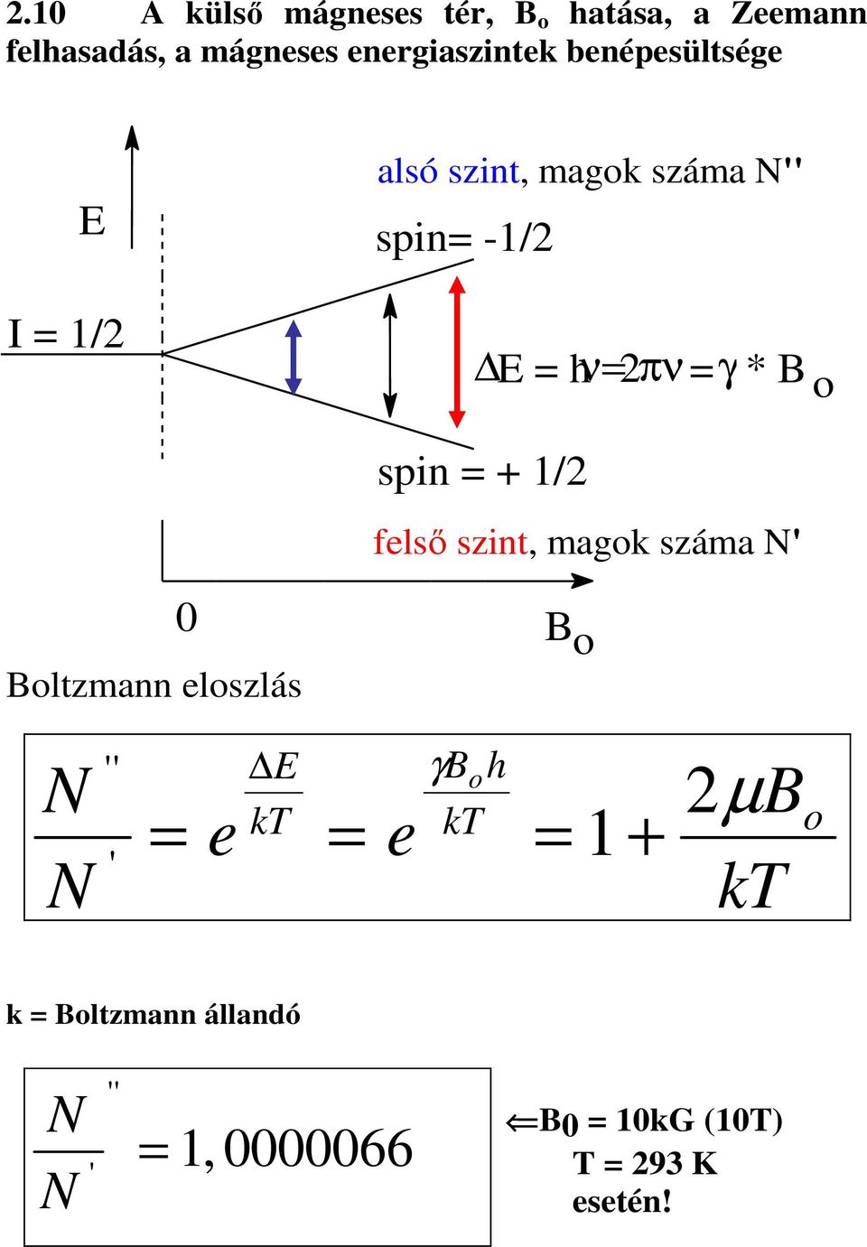 spin = + 1/2 felső szint, magok száma N' 0 Boltzmann eloszlás B o N N '' E kt γboh kt = e