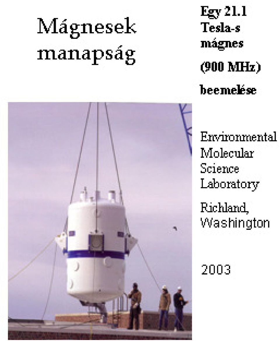 spin = + 1/2 felső szint, magok száma N' 0 Boltzmann eloszlás B o N N '' E kt γboh kt = e