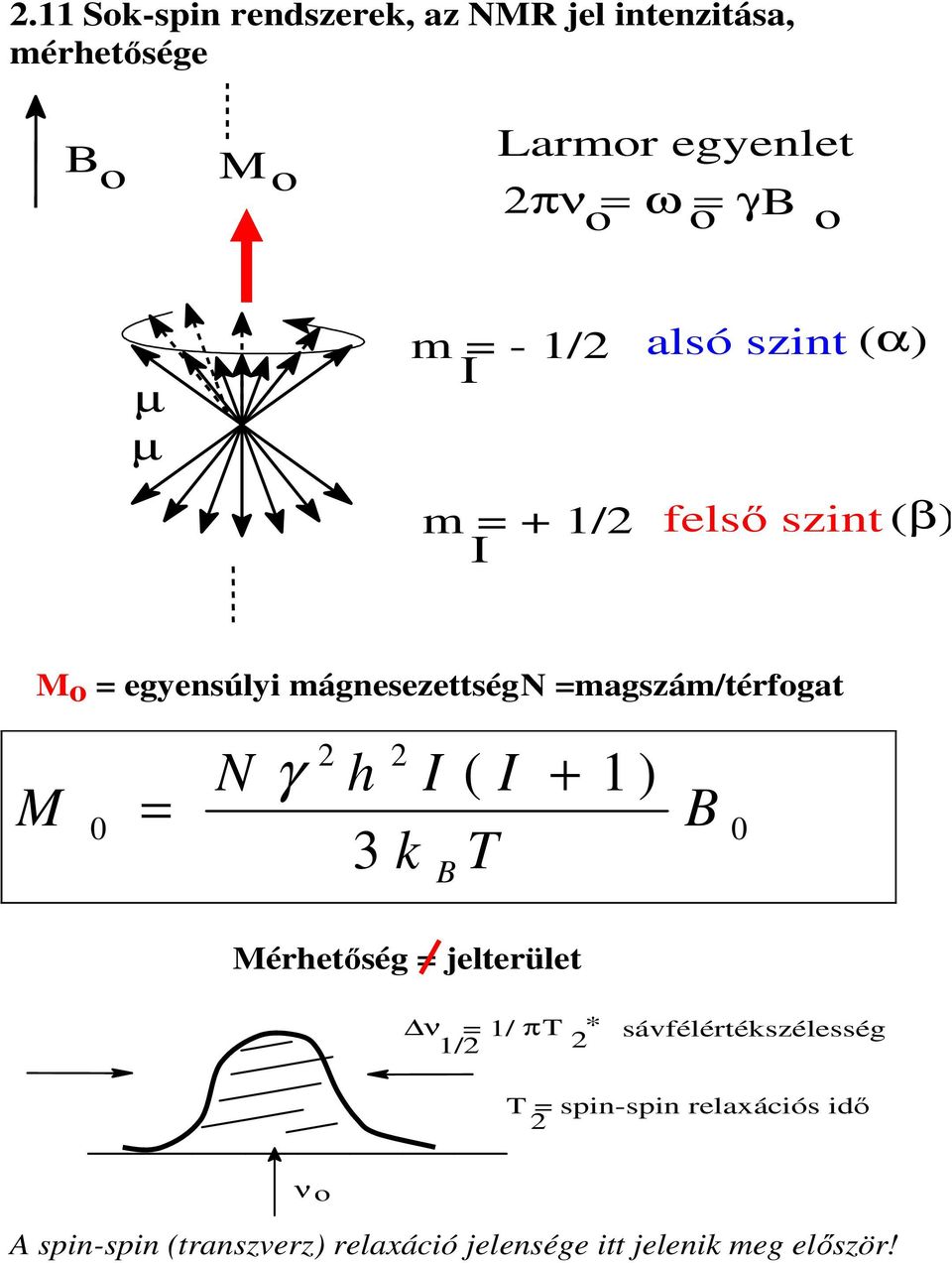 =magszám/térfogat M 0 = 2 2 N γ h I ( I + 1 ) 3 k T B B 0 Mérhetőség = jelterület ν = 1/ π T * 1/2 2