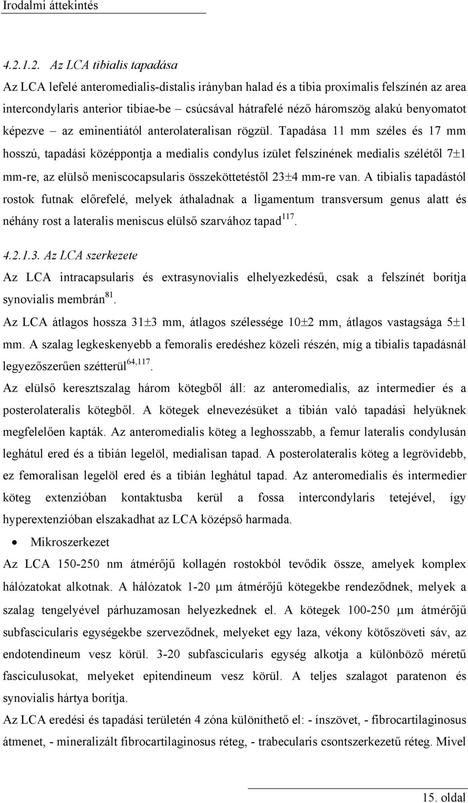 benyomatot képezve az eminentiától anterolateralisan rögzül.