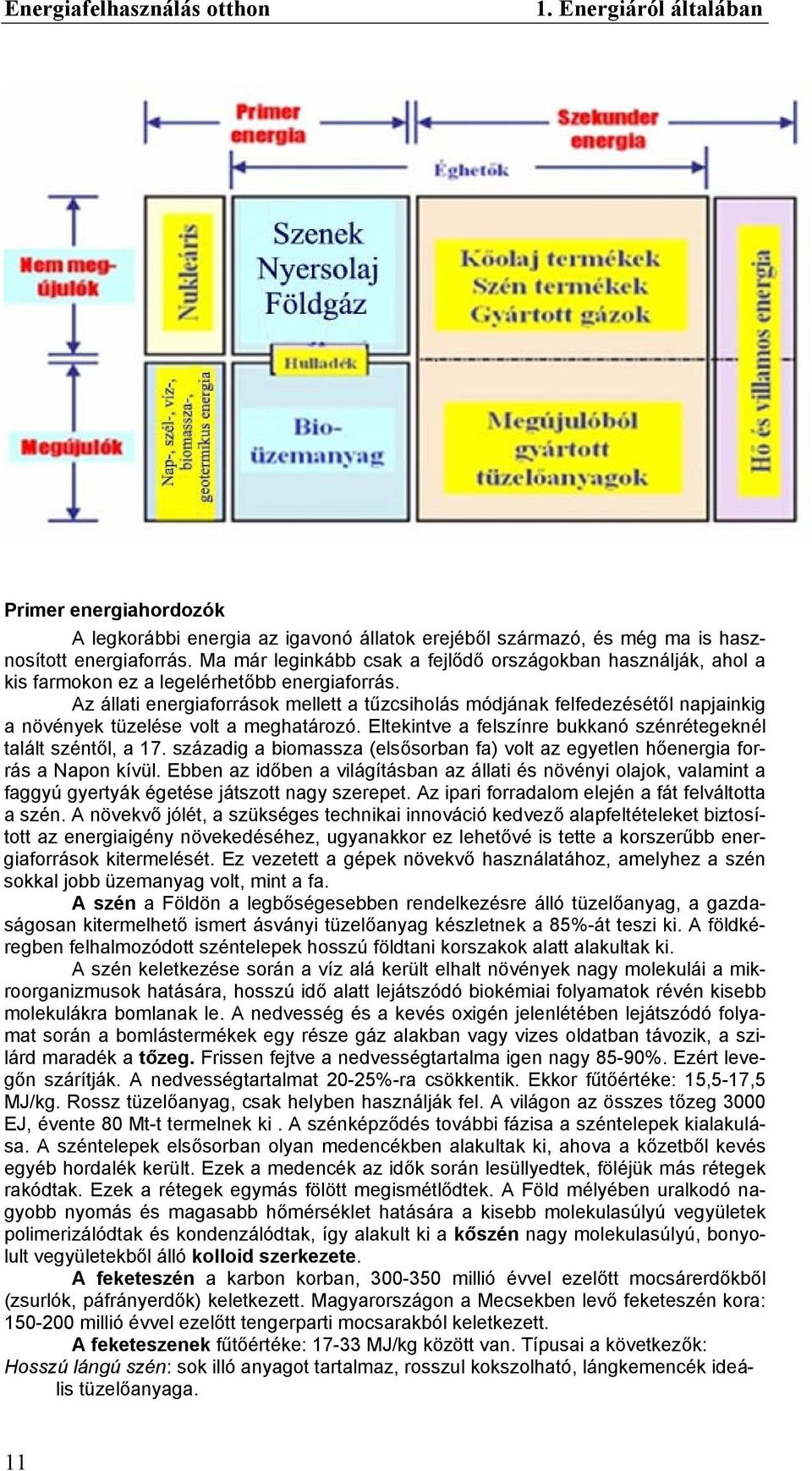 Az állati energiaforrások mellett a tűzcsiholás módjának felfedezésétől napjainkig a növények tüzelése volt a meghatározó. Eltekintve a felszínre bukkanó szénrétegeknél talált széntől, a 17.