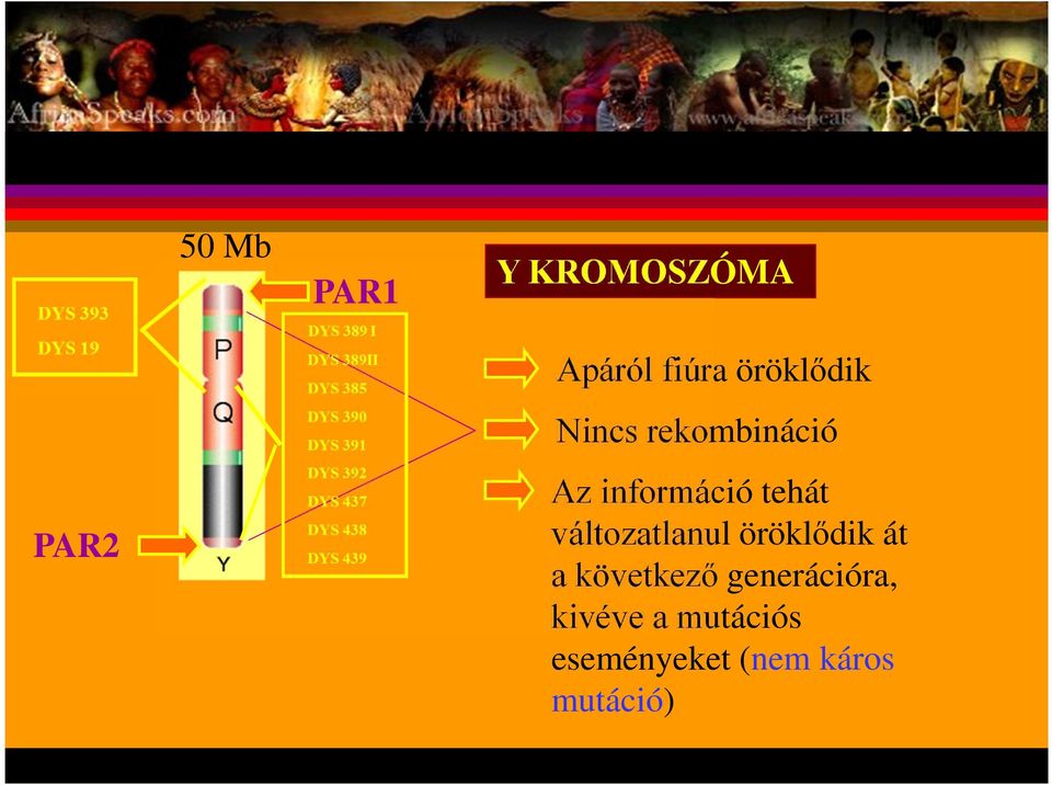 tehát változatlanul öröklődik át a következő