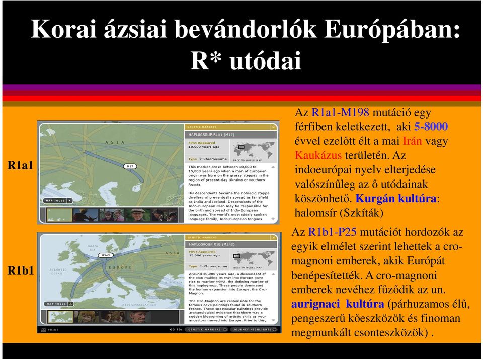 Kurgán kultúra: halomsír (Szkíták) Az R1b1-P25 mutációt hordozók az egyik elmélet szerint lehettek a cromagnoni emberek, akik