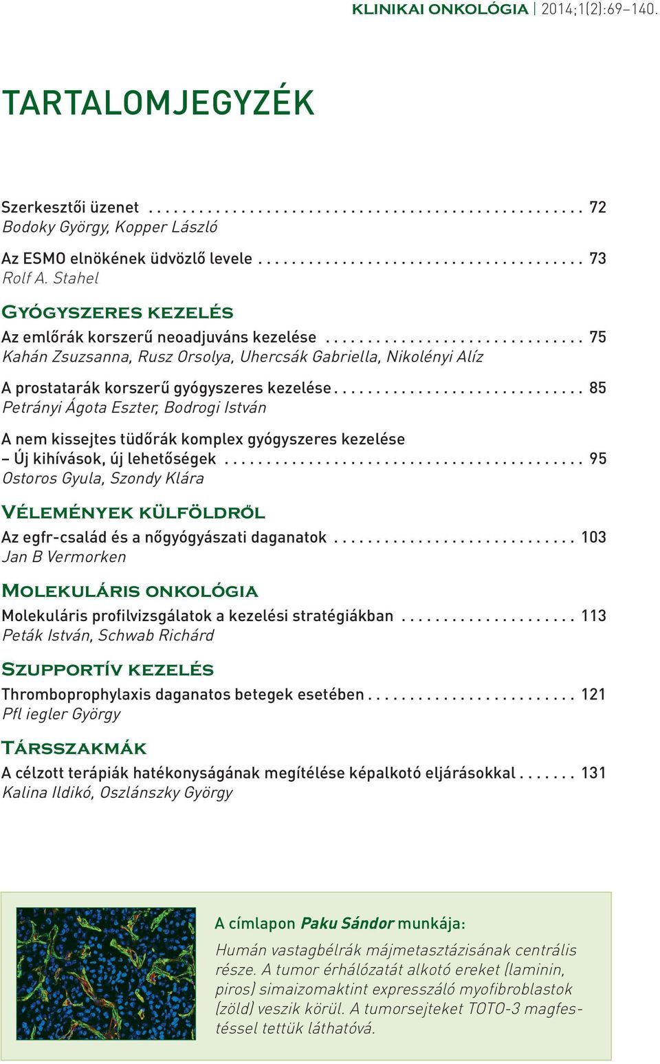 ............................. 85 Petrányi Ágota Eszter, Bodrogi István A nem kissejtes tüdőrák komplex gyógyszeres kezelése Új kihívások, új lehetőségek.