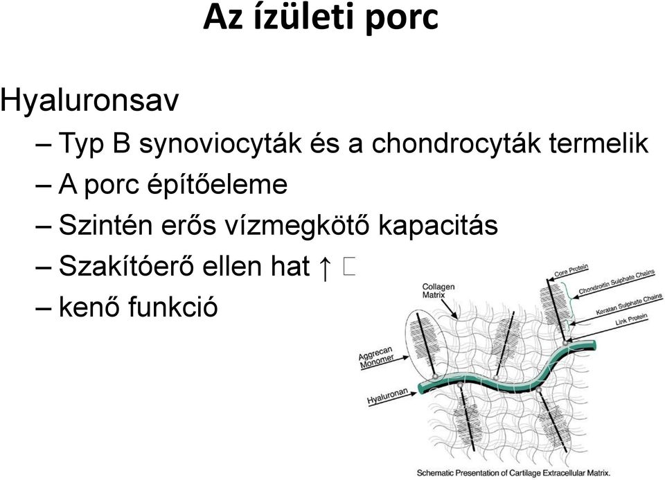 porc építőeleme Szintén erős vízmegkötő