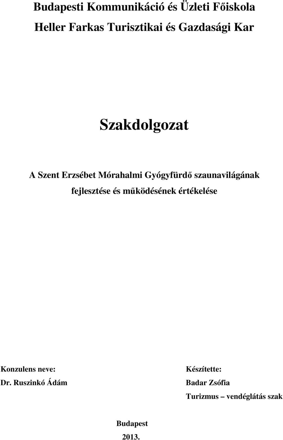 szaunavilágának fejlesztése és működésének értékelése Konzulens neve: Dr.