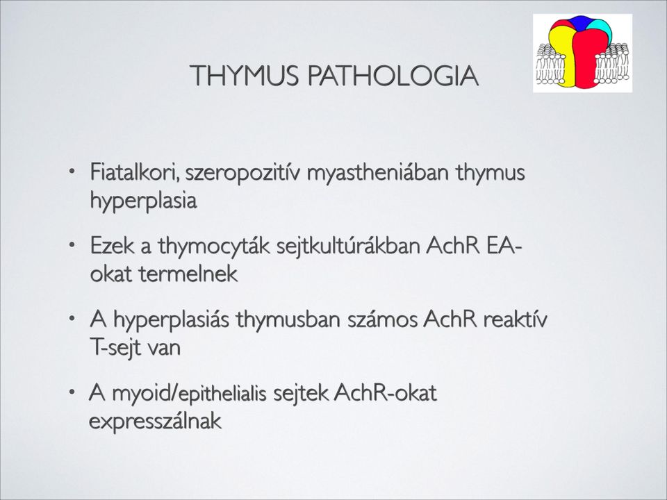 EAokat termelnek A hyperplasiás thymusban számos AchR