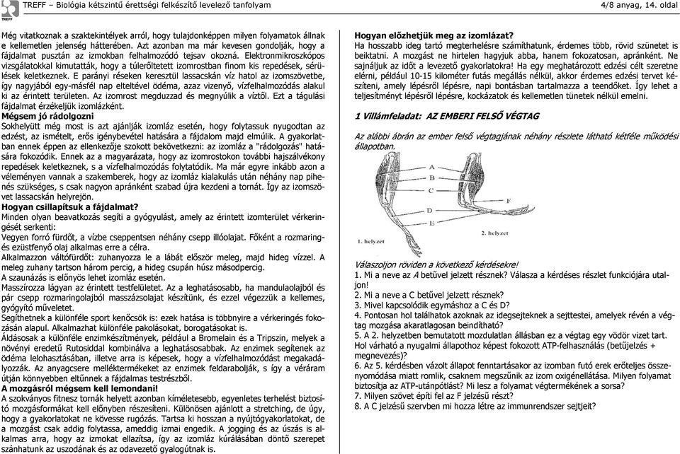 Elektronmikroszkópos vizsgálatokkal kimutatták, hogy a túlerőltetett izomrostban finom kis repedések, sérülések keletkeznek.