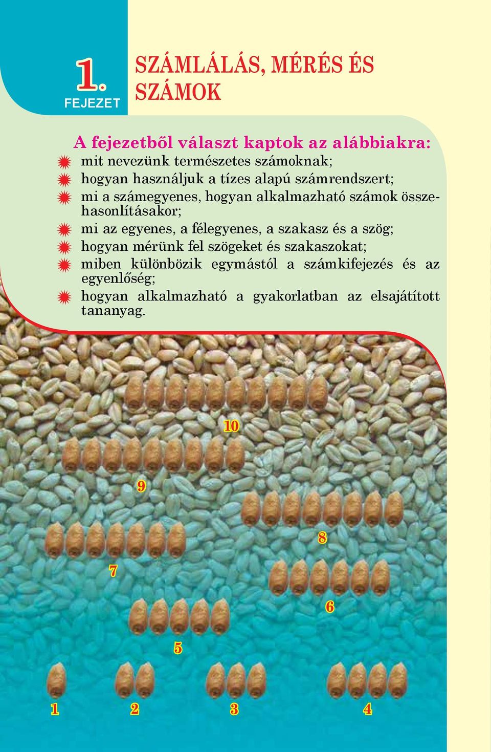 az egyenes, a félegyenes, a szakasz és a szög; hogyan mérünk fel szögeket és szakaszokat; miben különbözik egymástól