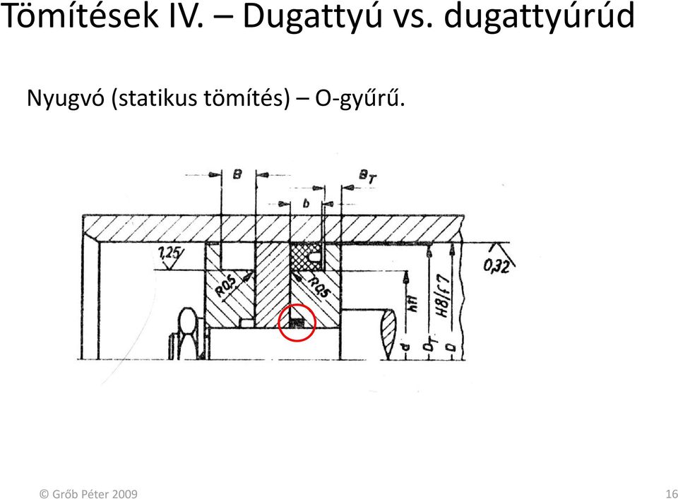 dugattyúrúd Nyugvó