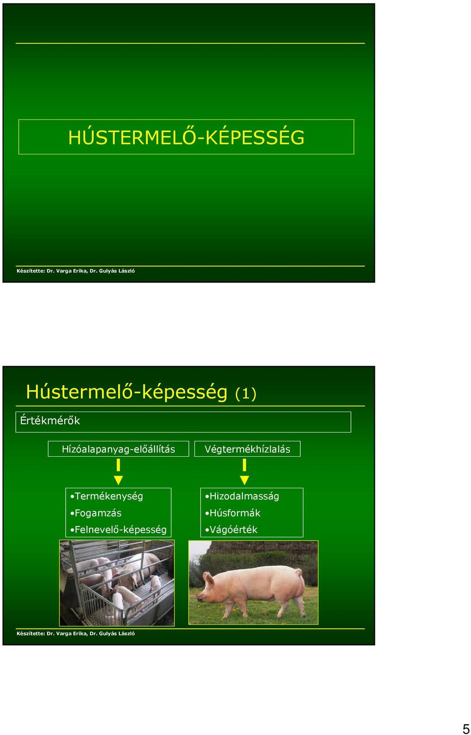 Végtermékhízlalás Termékenység Fogamzás