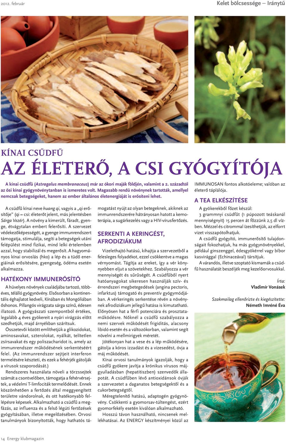 A csüdfű kínai neve huang qi, vagyis a qi erősítője (qi = csi: életerőt jelent, más jelentésben Sárga Vezér). A növény a kimerült, fáradt, gyenge, étvágytalan embert felerősíti.