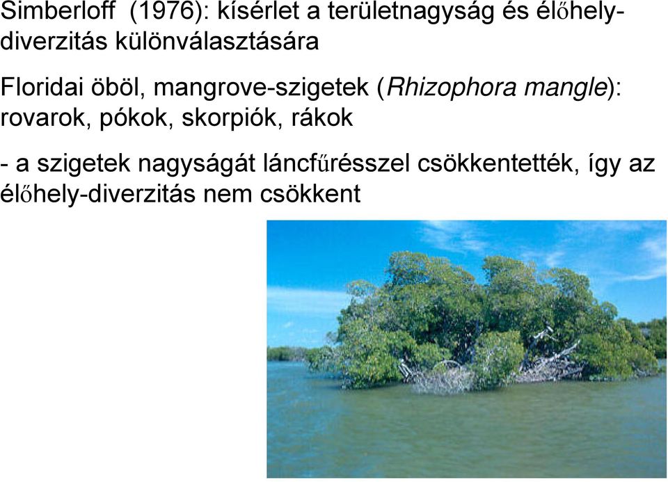 mangrove-szigetek (Rhizophora mangle): rovarok, pókok, skorpiók,