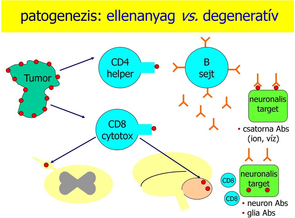 cytotox neuronalis target csatorna Abs