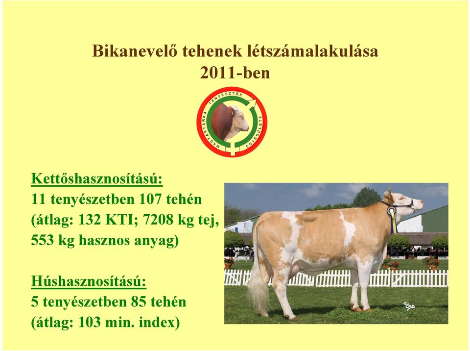 (átlag: 132 KTI; 7208 kg tej, 553 kg hasznos anyag)