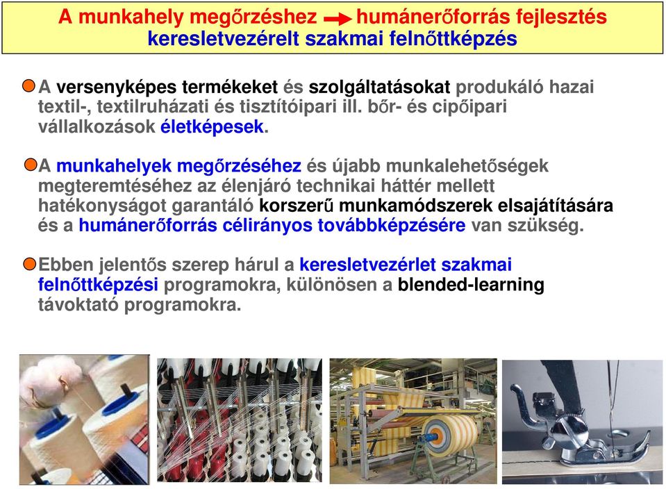 A munkahelyek megőrzéséhez és újabb munkalehetőségek megteremtéséhez az élenjáró technikai háttér mellett hatékonyságot garantáló korszerű