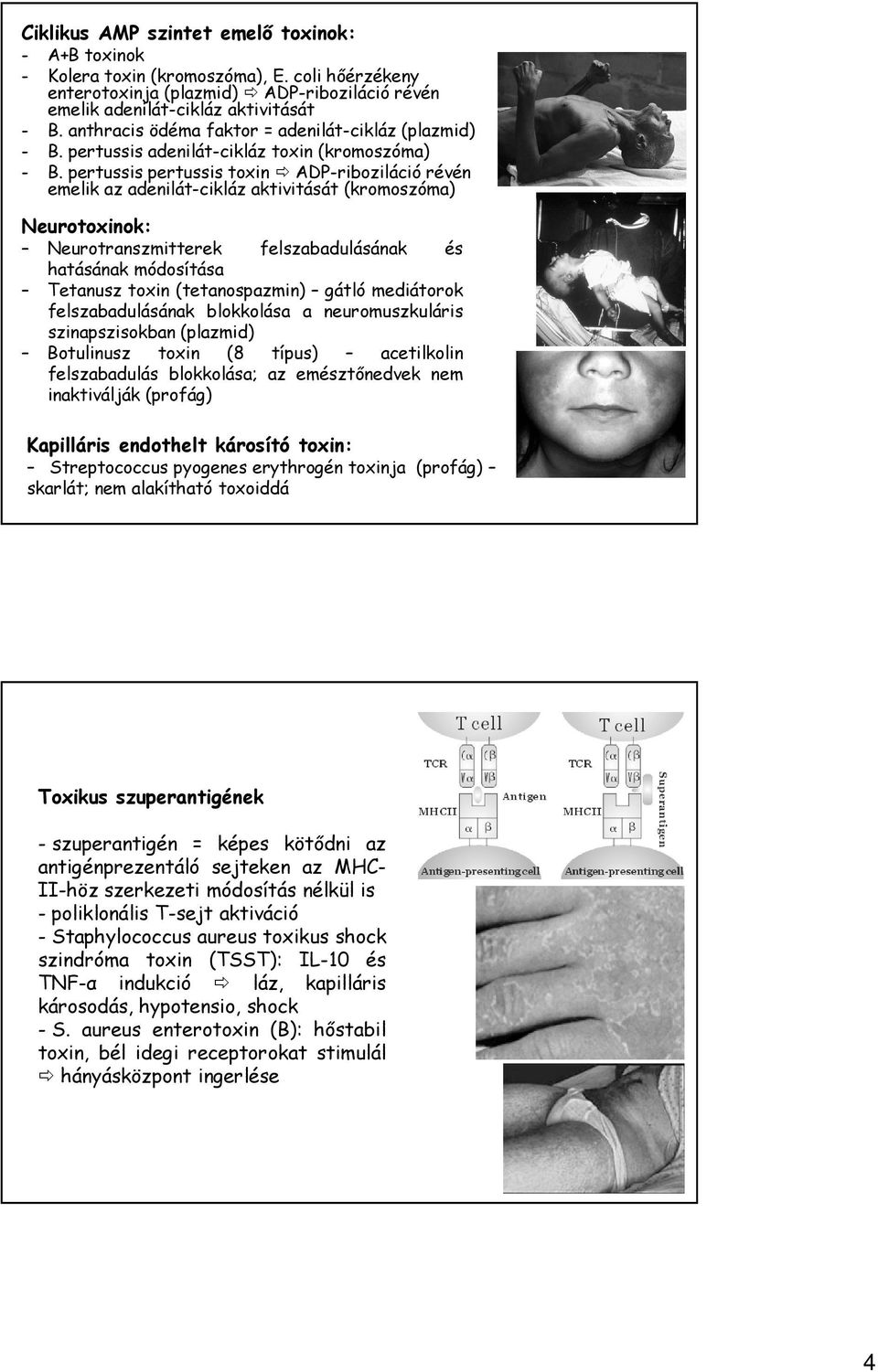 pertussis pertussis toxin ADP-riboziláció révén emelik az adenilát-cikláz aktivitását (kromoszóma) Neurotoxinok: Neurotranszmitterek felszabadulásának és hatásának módosítása Tetanusz toxin