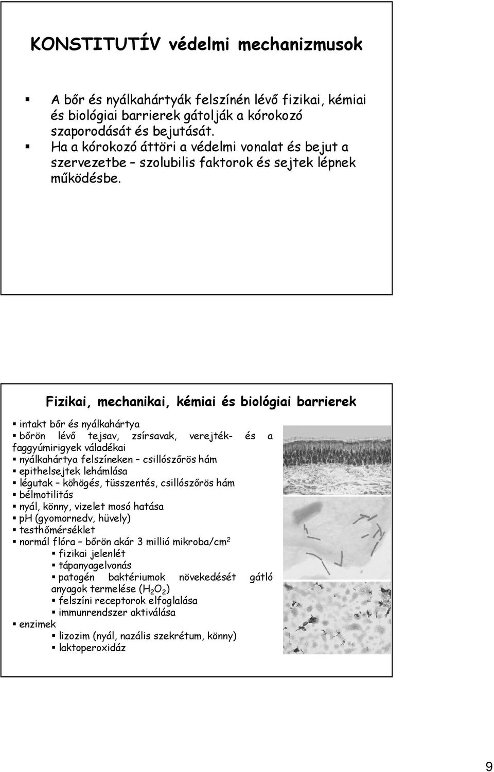 Fizikai, mechanikai, kémiai és biológiai barrierek intakt bőr és nyálkahártya bőrön lévő tejsav, zsírsavak, verejték- és a faggyúmirigyek váladékai nyálkahártya felszíneken csillószőrös hám