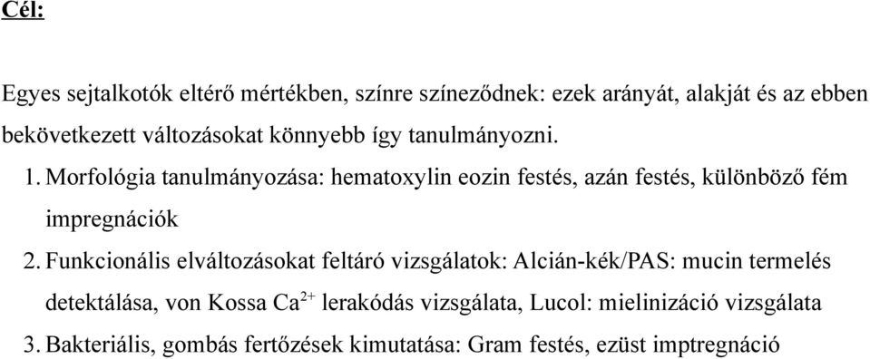 Morfológia tanulmányozása: hematoxylin eozin festés, azán festés, különböző fém impregnációk 2.