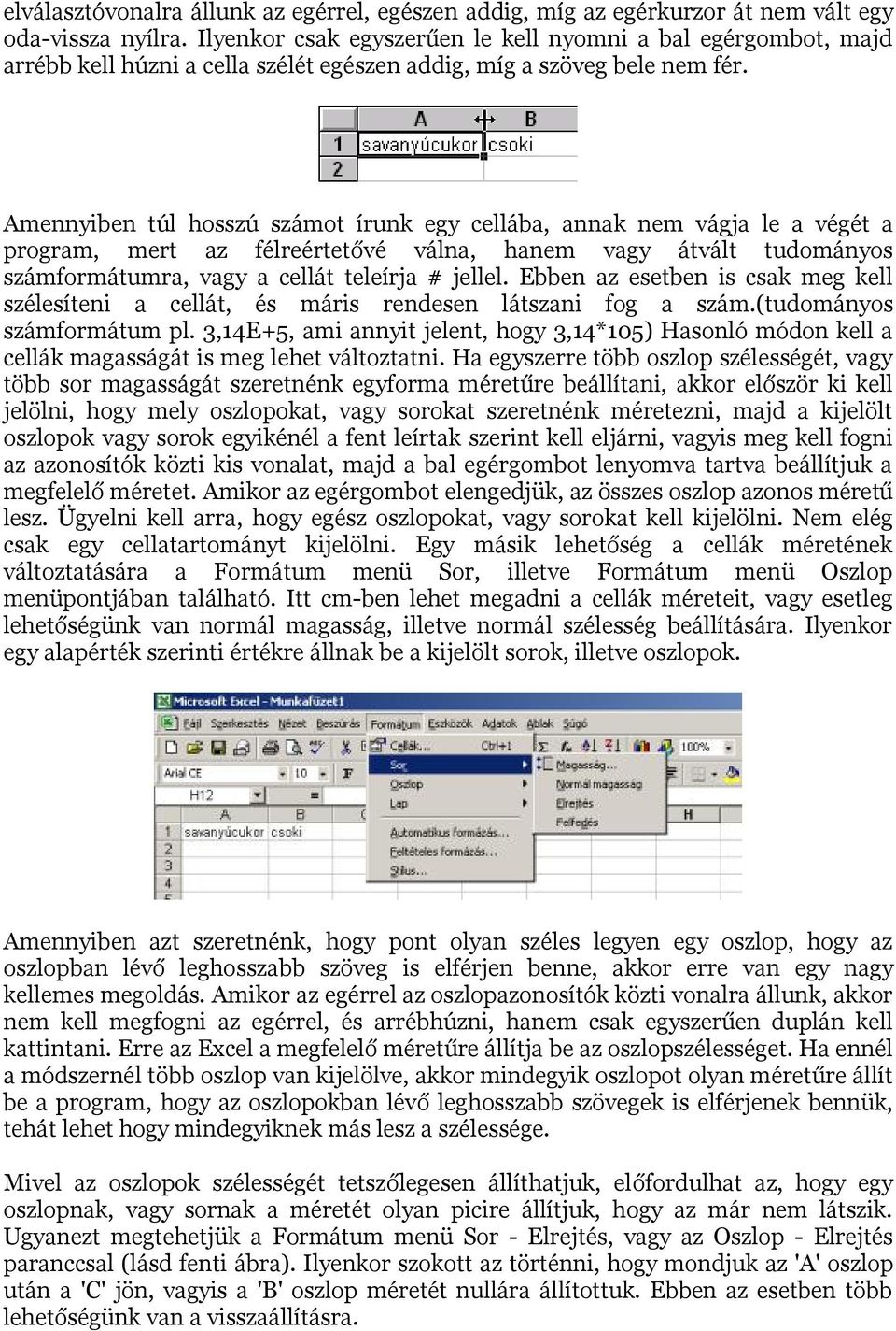 Amennyiben túl hosszú számot írunk egy cellába, annak nem vágja le a végét a program, mert az félreértetővé válna, hanem vagy átvált tudományos számformátumra, vagy a cellát teleírja # jellel.