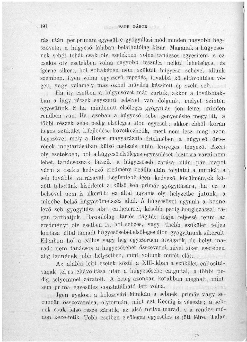 sebével állunk szemben. Ilyen volna egyszerű repedés, továbbá kő eltávolítása végett, vagy valamely más okból művileg készített ép szélű seb.