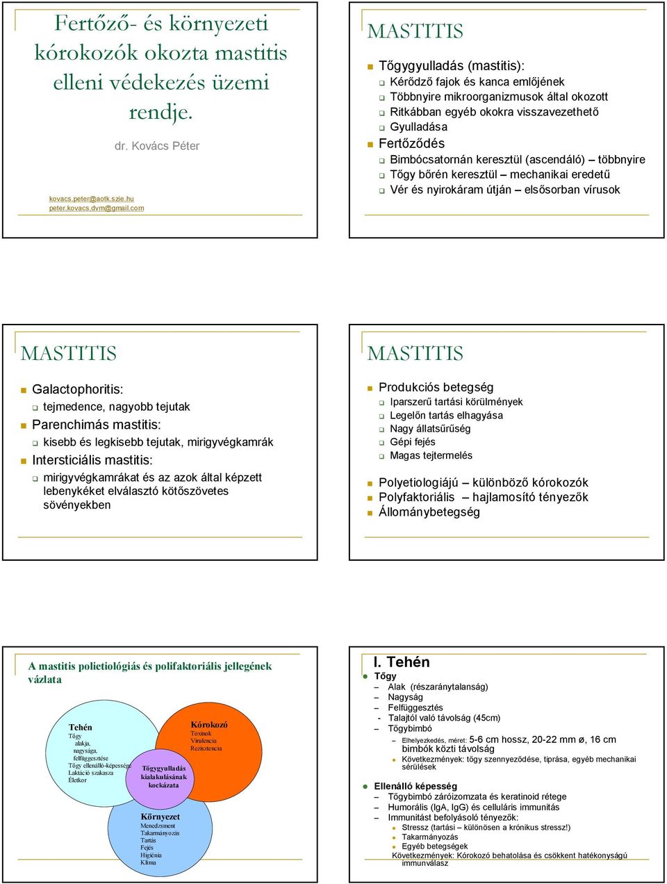 keresztül (ascendáló) többnyire Tőgy bőrén keresztül mechanikai eredetű Vér és nyirokáram útján elsősorban vírusok MASTITIS Galactophoritis: tejmedence, nagyobb tejutak Parenchimás mastitis: kisebb