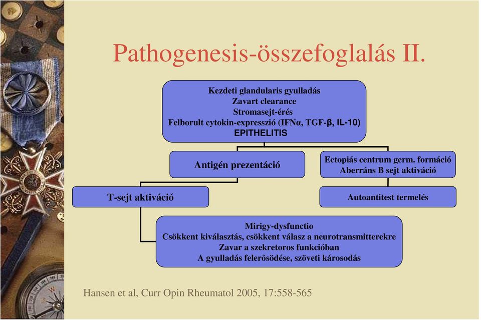 EPITHELITIS Antigén prezentáció Ectopiás centrum germ.