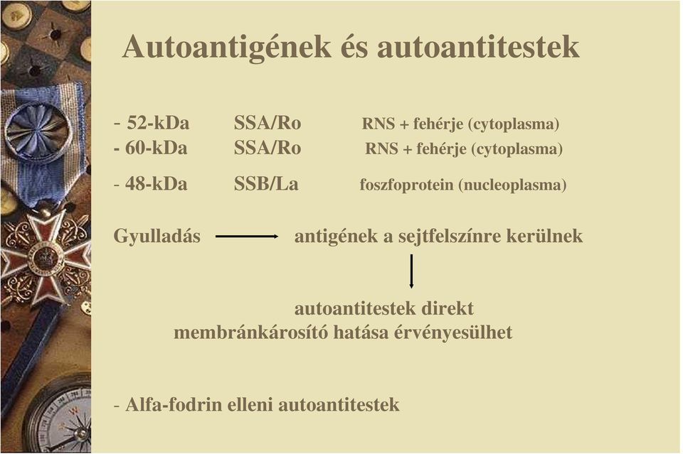 (nucleoplasma) Gyulladás antigének a sejtfelszínre kerülnek autoantitestek