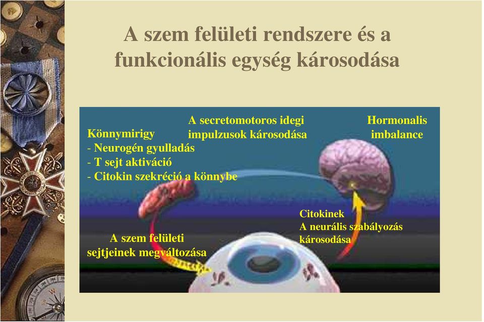 gyulladás - T sejt aktiváció - Citokin szekréció a könnybe Hormonalis