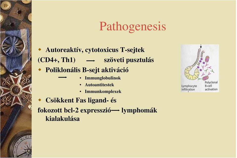 Immunglobulinok Autoantitestek Immunkomplexek Csökkent