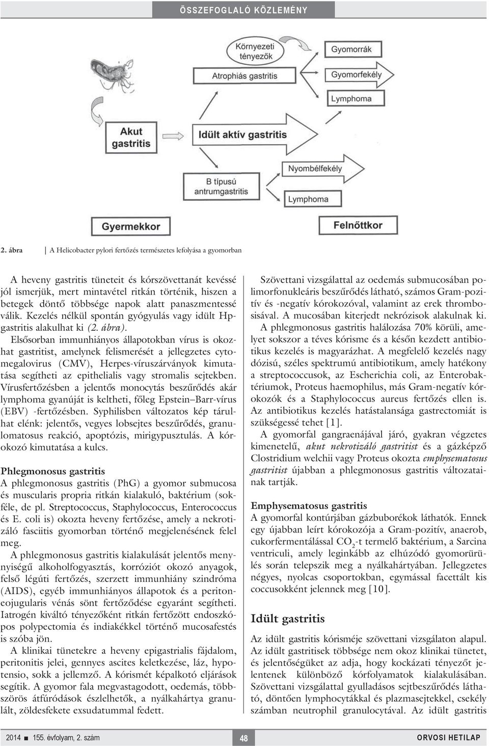 Elsősorban immunhiányos állapotokban vírus is okozhat gastritist, amelynek felismerését a jellegzetes cytomegalovirus (CMV), Herpes-víruszárványok kimutatása segítheti az epithelialis vagy stromalis