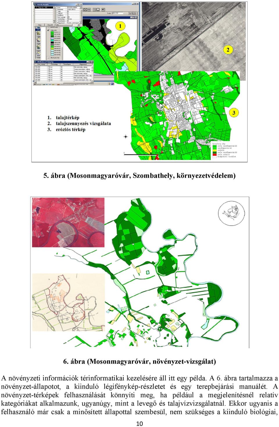 ábra tartalmazza a növényzet-állapotot, a kiinduló légifénykép-részletet és egy terepbejárási manuálét.