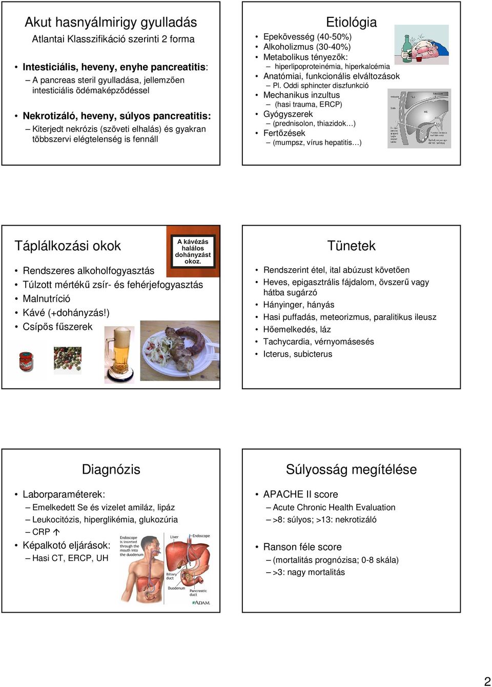 hiperlipoproteinémia, hiperkalcémia Anatómiai, funkcionális elváltozások Pl.