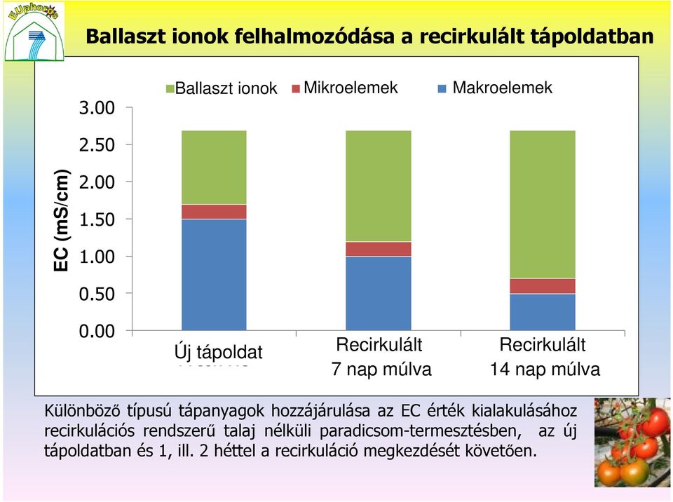 50 1.00 0.50 0.00 Új Fresh tápoldat Recirkulált Recirkulált NS Rec. NS (7 days) Rec.