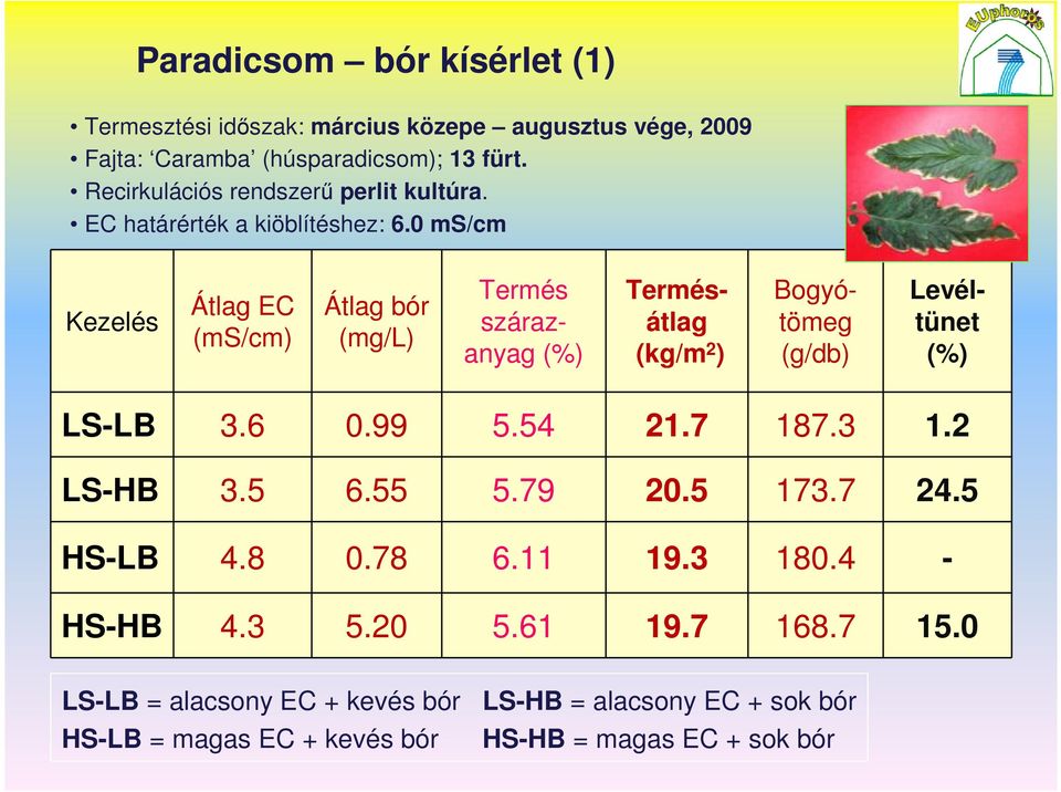 0 ms/cm Kezelés Átlag EC (ms/cm) Átlag bór (mg/l) Termés szárazanyag (%) Termésátlag (kg/m 2 ) Bogyótömeg (g/db) Levéltünet (%) LS-LB 3.6 0.99 5.