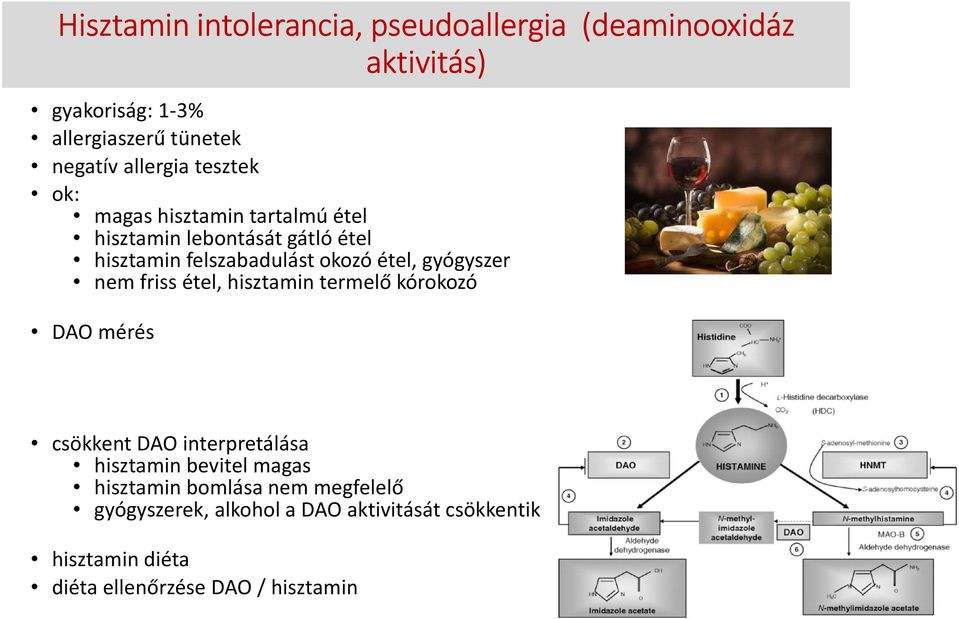 gyógyszer nem friss étel, hisztamin termelő kórokozó DAO mérés csökkent DAO interpretálása hisztamin bevitel magas