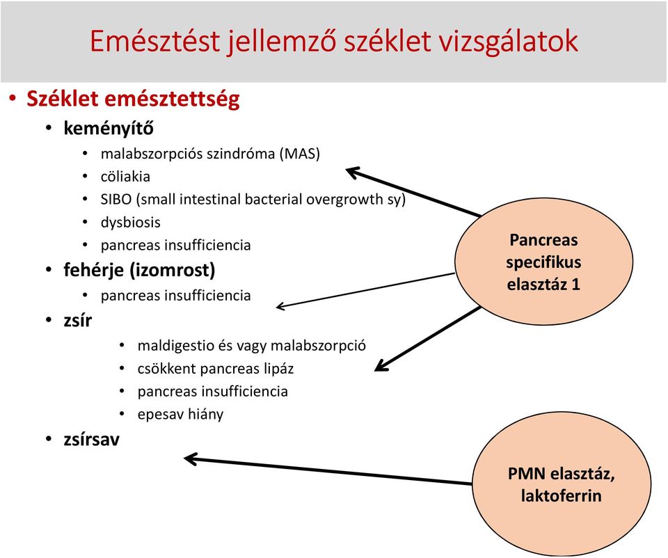 fehérje (izomrost) pancreas insufficiencia zsír maldigestio és vagy malabszorpció csökkent pancreas